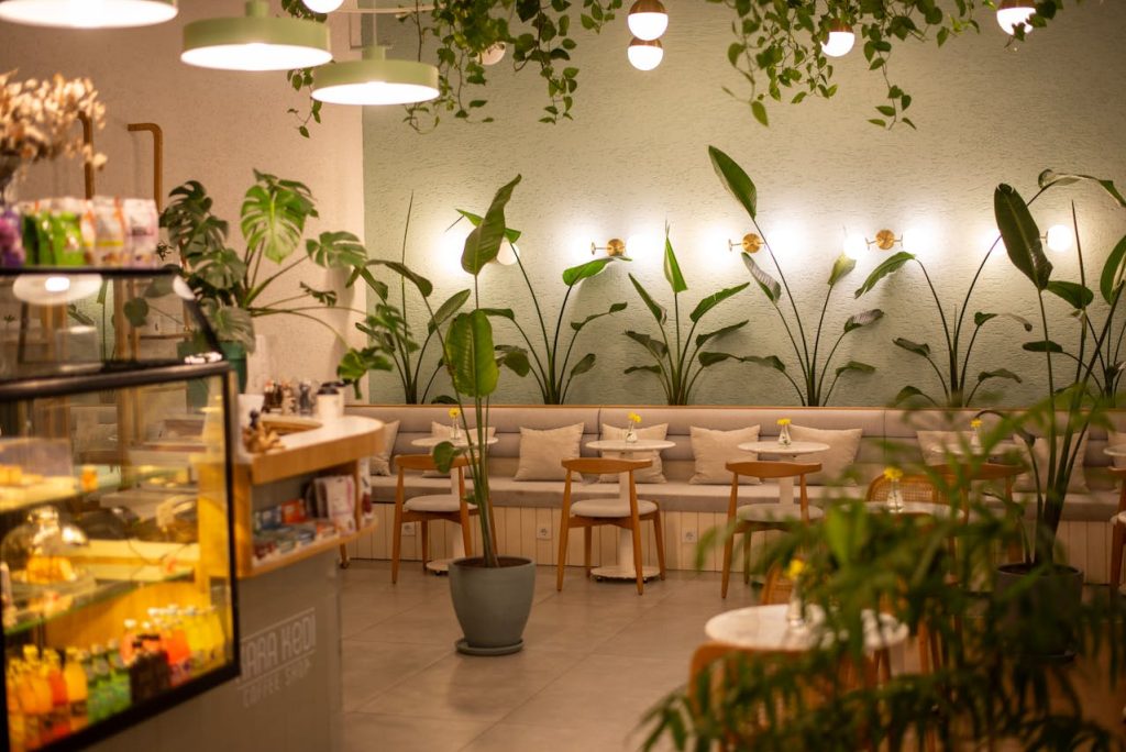 Cafe tropis. Sumber: pexels.com