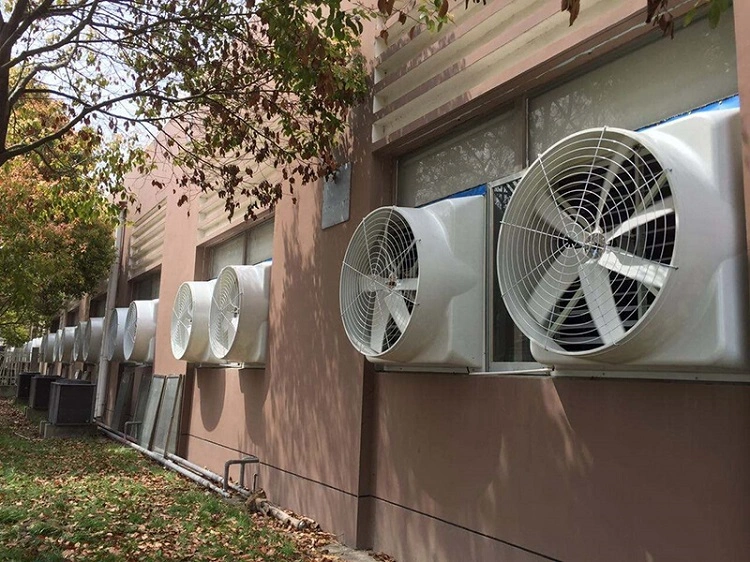 Contoh ventilasi di bangunan industri, Sumber: chinaexhaustfan.com
